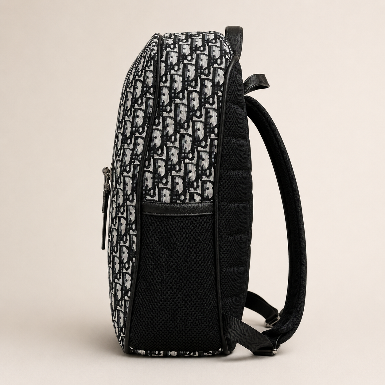 Dior Back Bag
