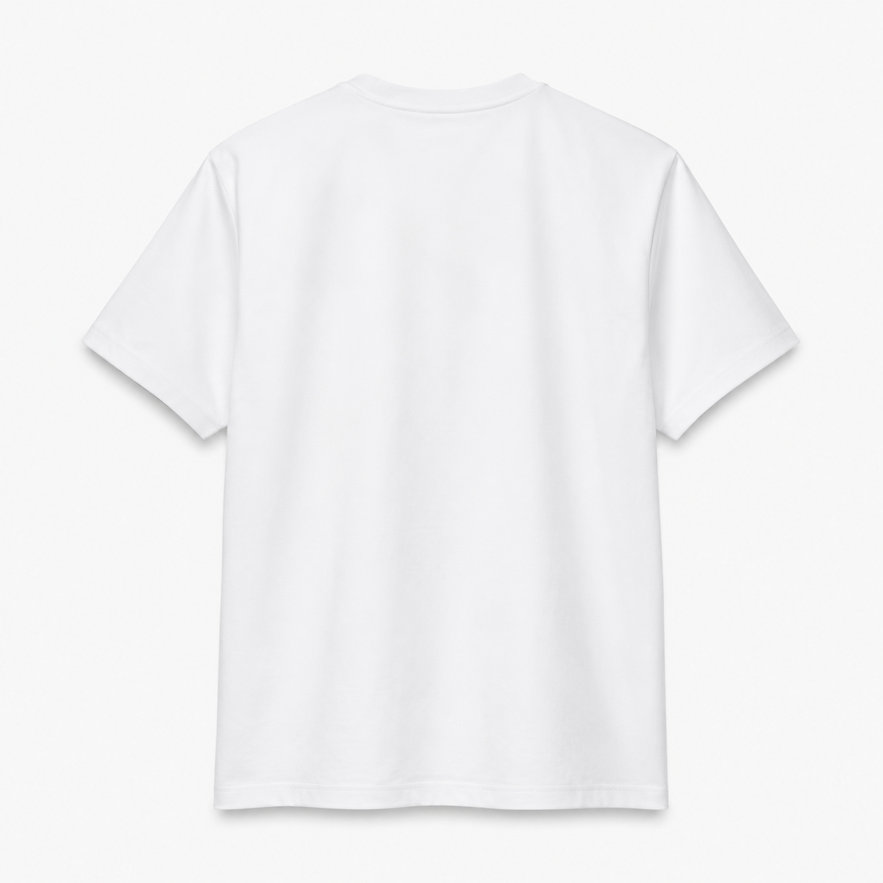 Basic t-shirt of Loro Piana